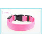 LED Nylon Dog Collar and for Cat Color - White (Red,Dark Turquoise,Green,Yellow,Pink)